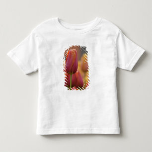 T-shirt Países Baixos (também conhecido como Holanda), Lis