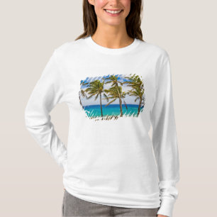 T-shirt Palmeiras de coco (Cocos nucifera) balançando ao