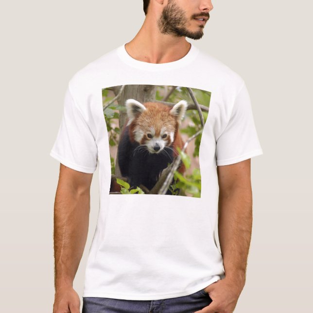 T-shirt Panda-023 vermelho (Frente)