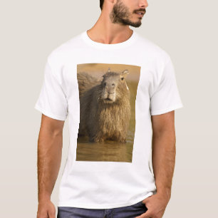 T-shirt Pantanal, Brasil, Capybara, Hidrochoerus