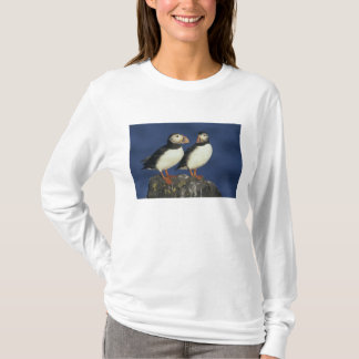 T-shirt Papagaio-do-mar-Atlântico