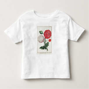 T-shirt Papaver - somniferum e rheas do Papaver gravados