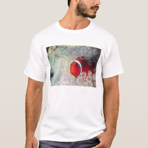 T-shirt Papua-Nova Guiné, Grande Barreira de Coral,