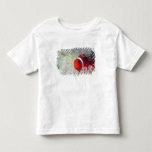 T-shirt Papua-Nova Guiné, Grande Barreira de Coral,