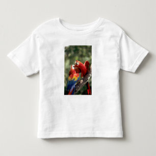 T-shirt Par de Araras-vermelhas