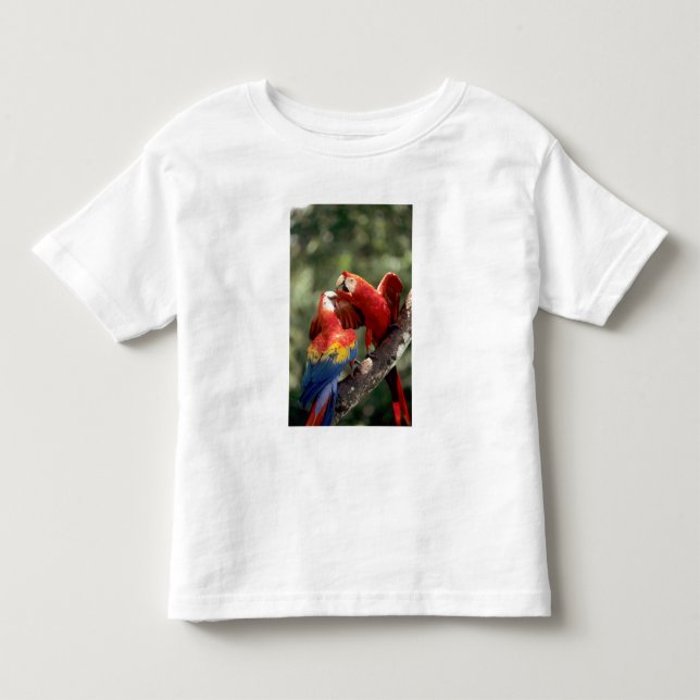 T-shirt Par de Araras-vermelhas (Frente)