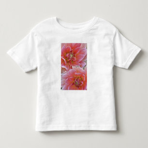 T-shirt Par de flores de Dahlia, Dahlia spp. ,