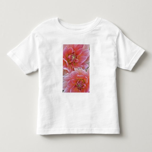 T-shirt Par de flores de Dahlia, Dahlia spp. , (Frente)