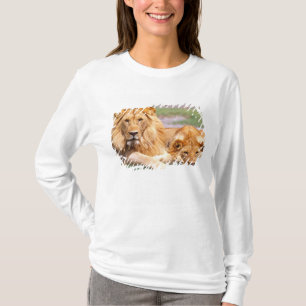 T-shirt Par de Leões Africanos, Panthera leo, Tanzânia