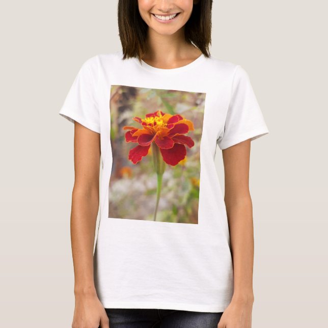 T-Shirt para o Buy Ledy (Frente)