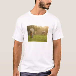 T-shirt Paraíso dos amantes do cavalo