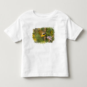 T-shirt Pardal-de-cabeça-preta (Geothlypis trichas) macho,
