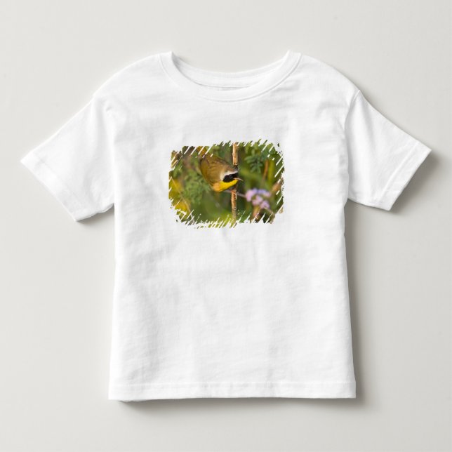 T-shirt Pardal-de-cabeça-preta (Geothlypis trichas) macho, (Frente)