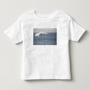 T-shirt Parque de Praia Hookipa, Costa Norte do Maui,