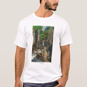 T-shirt Parque estadual do entalhe de Franconia