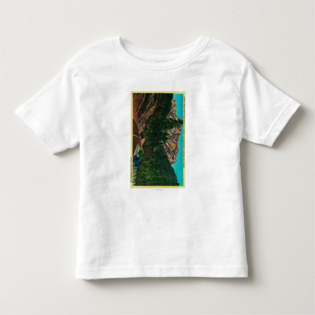 T-shirt Parque estadual dos Crags do castelo de E.U. 99 (Frente)