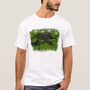 T-shirt Parque Golden Gate de São Francisco Califórnia e