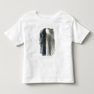 T-shirt Parque Nacional de Yosemite - Raios de sol fluindo