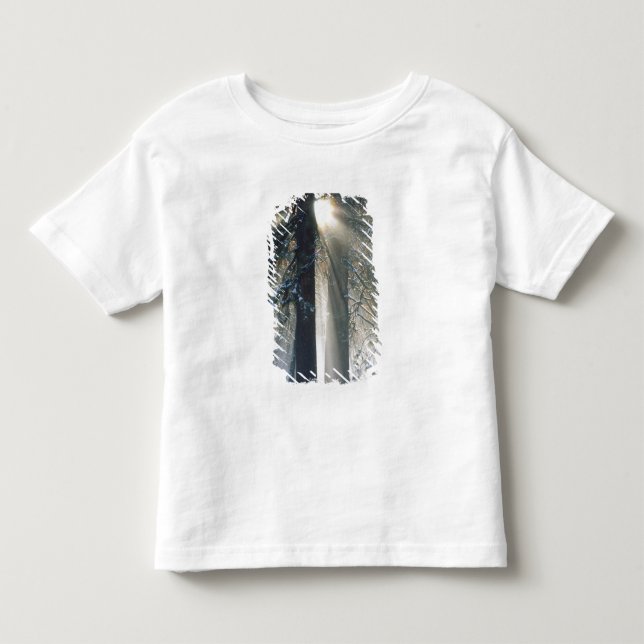 T-shirt Parque Nacional de Yosemite - Raios de sol fluindo (Frente)