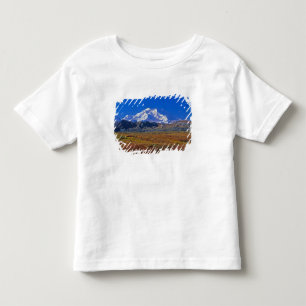 T-shirt Parque Nacional Denali Mt. McKinley, Alasca.