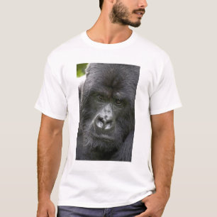 T-shirt Parque Nacional dos Vulcões, Ruanda, Gorilas da Mo