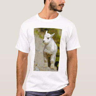 T-shirt Parque Nacional Glacier, Montana, EUA, Montanha
