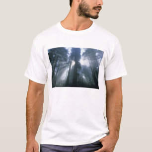 T-shirt Parque Nacional Redwood, Condado de Del Norte, neb