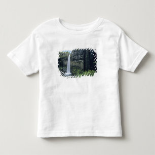 T-shirt Parque Nacional Skaftafell, cascata Svartifoss,
