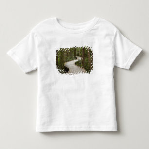 T-shirt Passarela para Nelson Falls, Franklin - Gordon