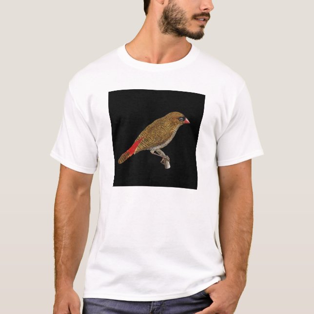 T-shirt Passarinho bonito de Firetail - Stagonopleura (Frente)