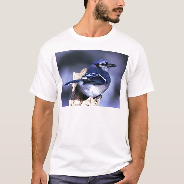 T-shirt Pássaro bonito de Jay azul (Frente)
