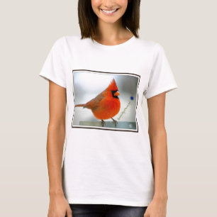 T-shirt Pássaro vermelho cardinal