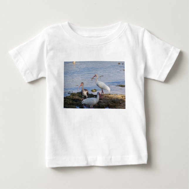T-shirt Pássaros Ibis na margem da baía da Flórida (Frente)