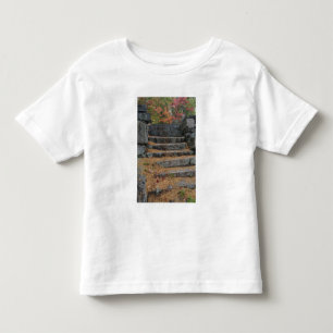 T-shirt Passos cobertos de agulhas de pinheiro, White Moun