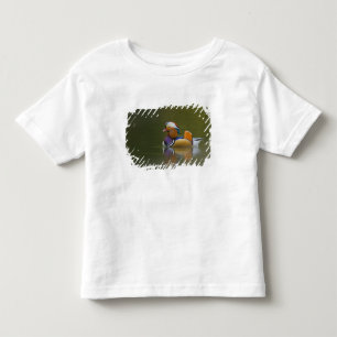 T-shirt Pato mandarim selvagem (Aix galericulata) no escur
