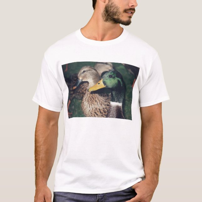 T-shirt patos (Frente)