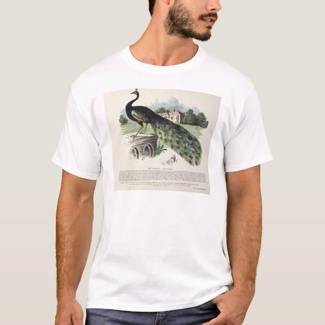 T-shirt Pavão (Frente)