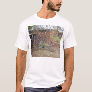 T-shirt pavão orgulhoso