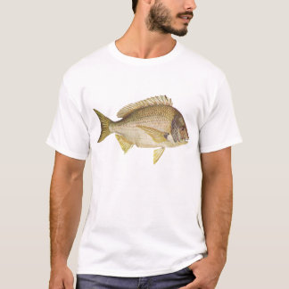 T-shirt Peixes - Black Bream - Mylio australis