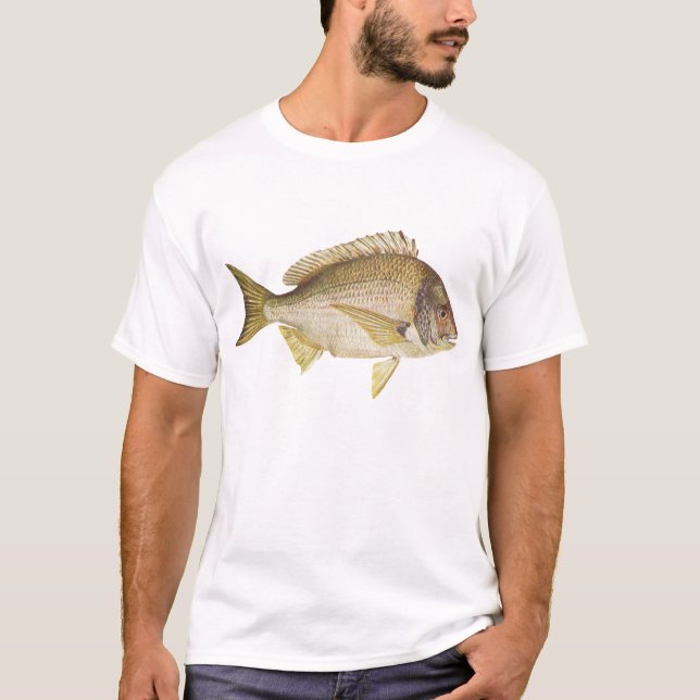 T-shirt Peixes - Black Bream - Mylio australis (Frente)