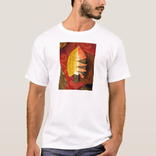 T-shirt Peixes chatos vermelhos com amarelo preto e listra