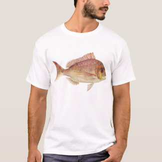 T-shirt Peixes - Red Bream - Chryosophrys guttuatus