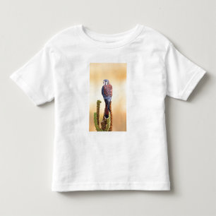 T-shirt Peneireiro-americano, Falco sparverius, Nativo dos