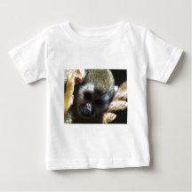 Pensando... Presentes de Macaco de Esquilo