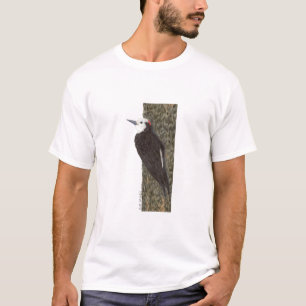 T-shirt pica-pau Branco-dirigido
