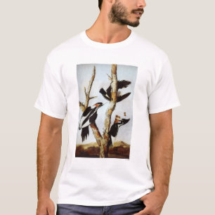 T-shirt Pica-Pica-Pica-Pau