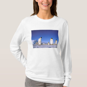 T-shirt Pinguim Antártida, Península Antártica