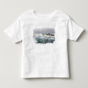 T-shirt Pinguim-de-adélia (Pygoscelis adeliae),