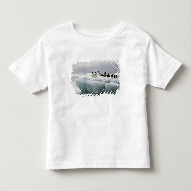 T-shirt Pinguim-de-adélia (Pygoscelis adeliae), (Frente)