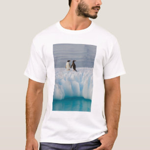 T-shirt pingüim-gentoo, Pygoscelis Papua, no gelo glacial